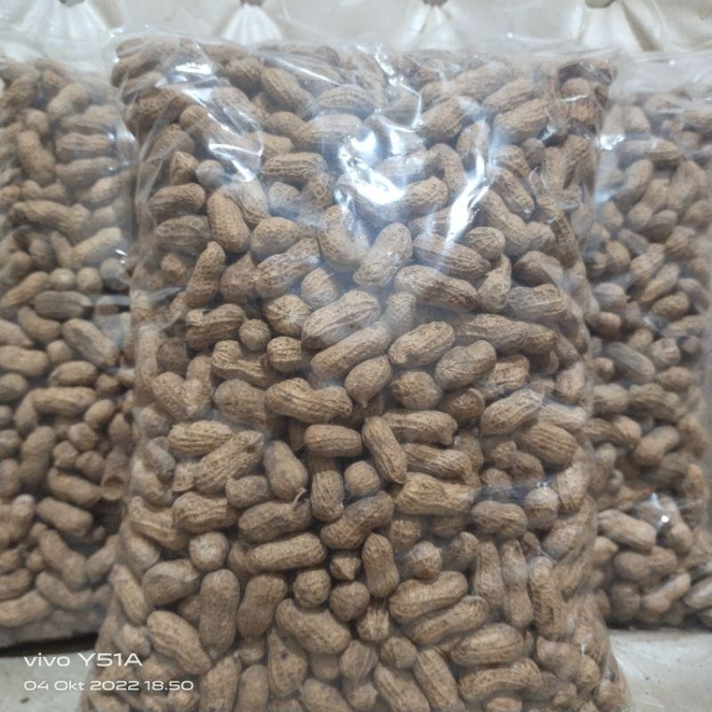 

Rkm Kacang Kulit Sangrai Madura Super Enak Gurih Renyah 1Kg