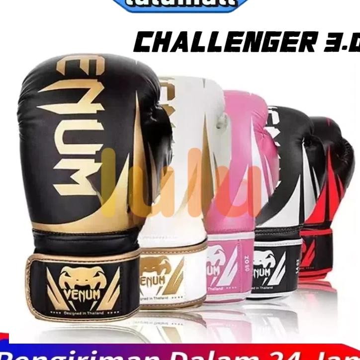 Mma Sarung Tinju Gloves Boxing Muay Thai Fhting Training Ki Boxing 10Oz 12Oz 14Oz