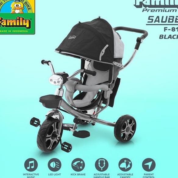 Sepeda Anak Roda Ta Tipe Family F8101 Sauber