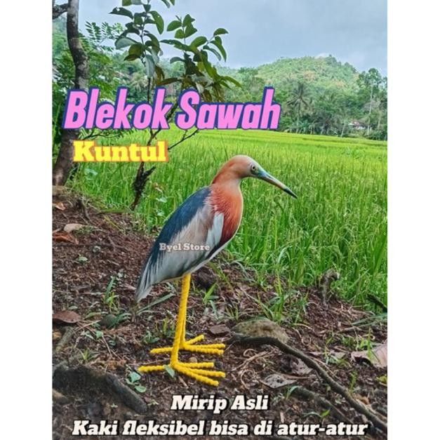 Patung burung Blekok Sawah / Kuntul DiM