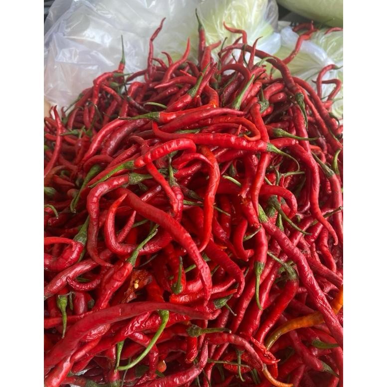 

Elegan Cabe Merah Kriting 1 Kg Murah Meriah