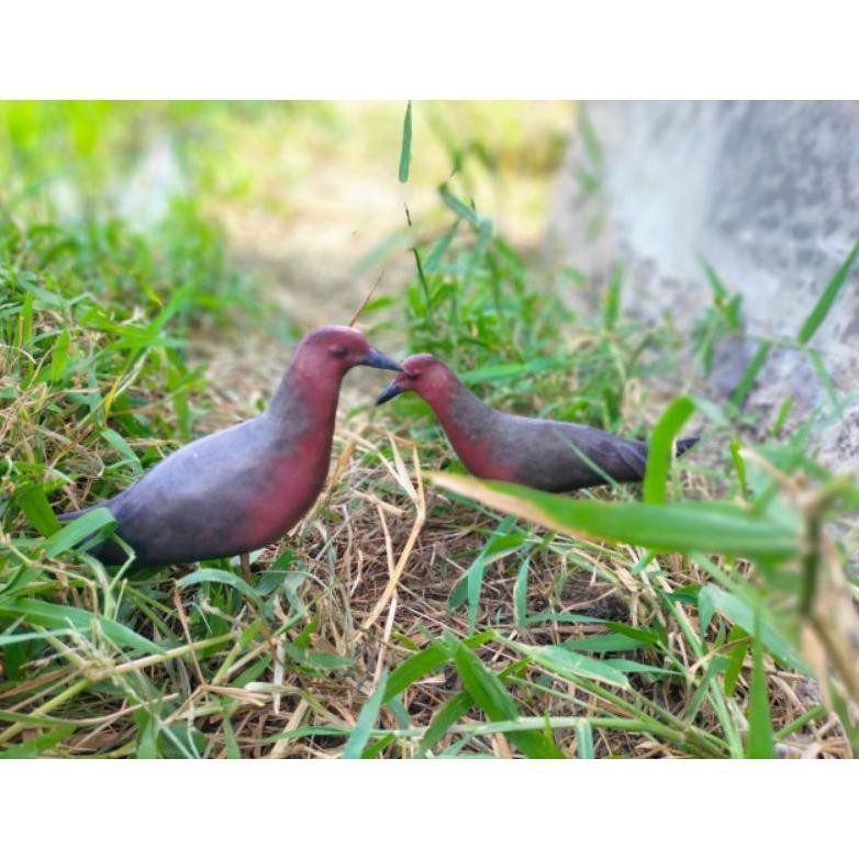 PATUNG JONTROT BURUNG TIKUSAN MERAH - PATUNG TIKUSAN - JONTROT BURUNG TIKUSAN MERAH DiM