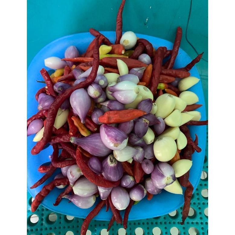 

Terpopuler Cabe Rawit Ori Probolinggo 1Kg