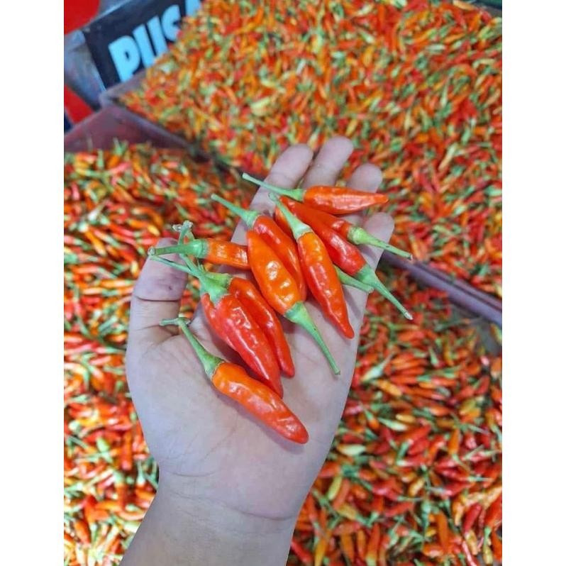 

Perhatian Cabe Merah Rawit Ori 1Kg