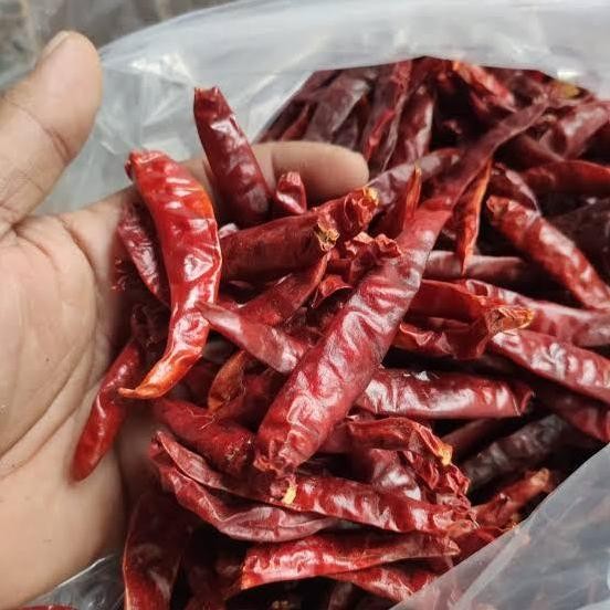 

Terbaru Cabe Kering | Cabe Merah Besar Kering Tanpa Tangkai | Kemasan Vakum