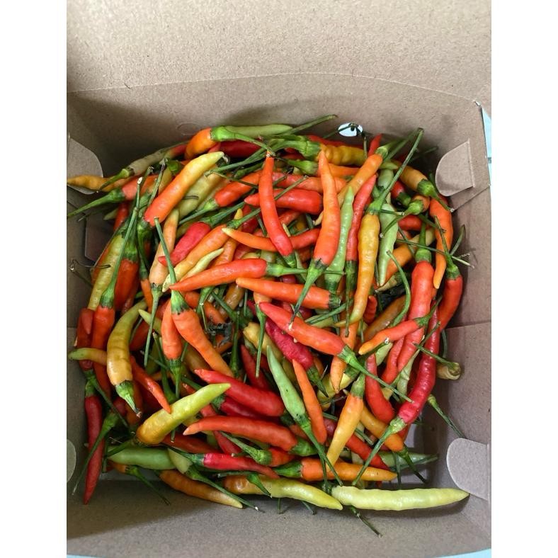 

Garansi Cabe Rawit Ori Probolinggo 1Kg