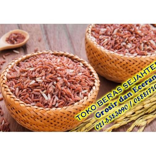 

Beras Khusus Organik Merah Pk 5 Kg