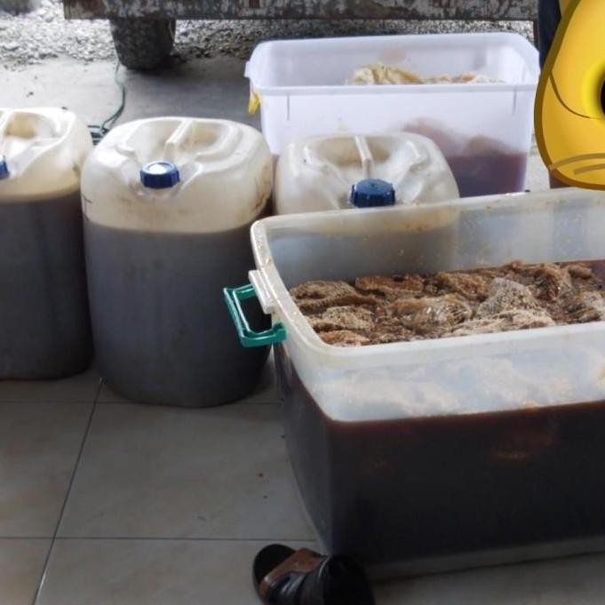 

TERMURAH MADU HUTAN SIALANG RIAU CURAH 20KG - RAW HONEY MURNI KUALITAS PREMIUM