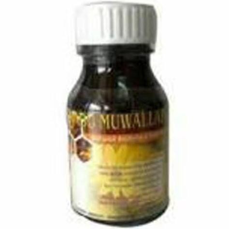 

TERMURAH MADU NATURAID MUWALLAD 375GR - STAMINA PRIA WANITA HERBAL ALAMI