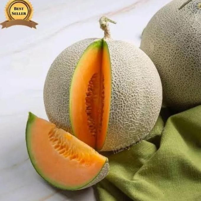 

TERMURAH 150 BIJI BENIH MELON MADU SUPER PERTIWI F1 - BIBIT UNGGUL MANIS & SEGAR