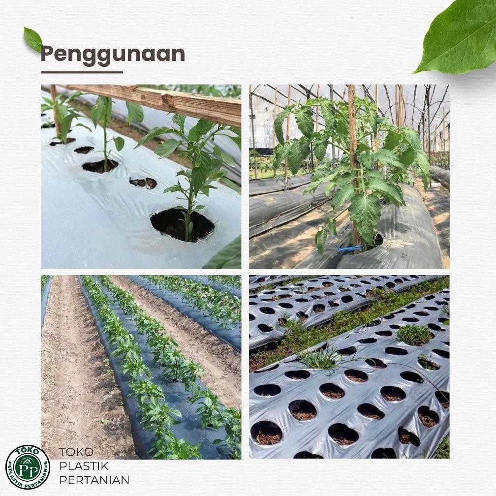 Mulsa Plastik Mulsa Hitam Perak 1 Roll 5 Kg - Tebal Kuat Bagus Murah Elastis Terbaik
