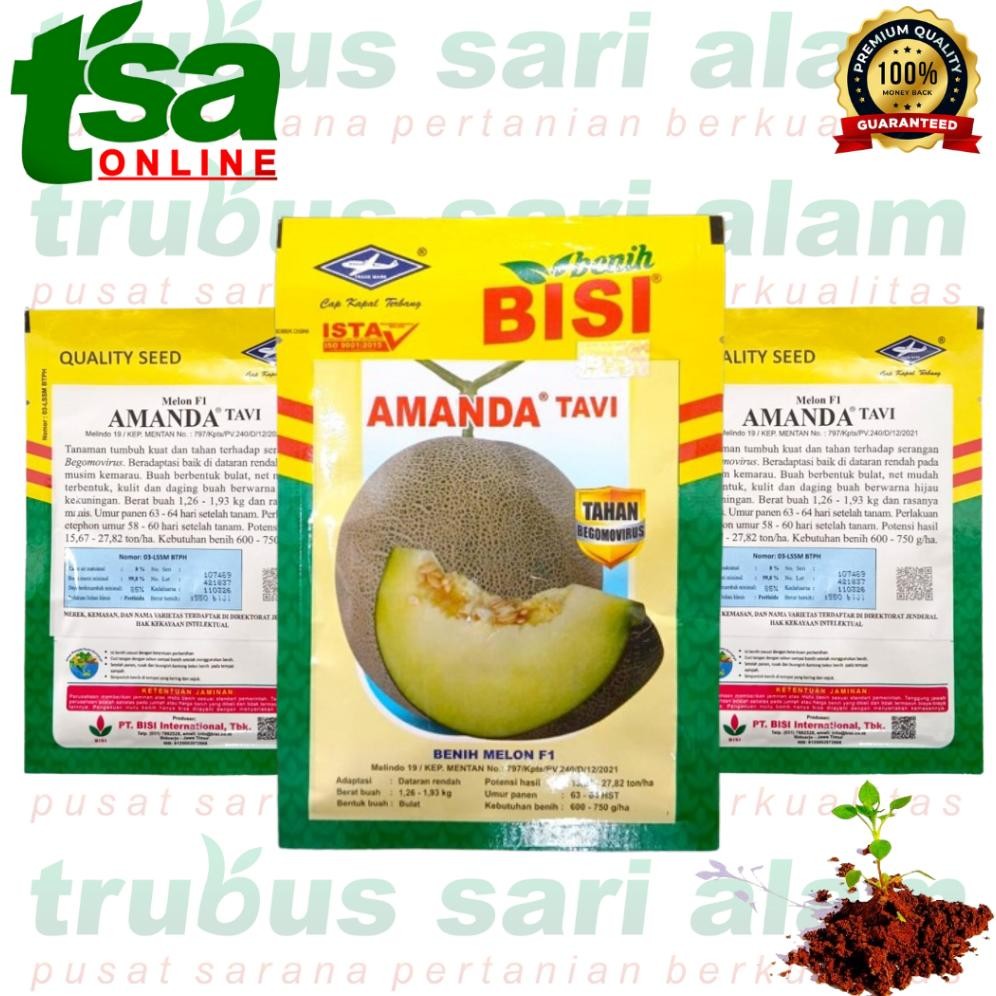 Amanda Tavi F1 - Benih Bibit Biji Buah Melon Hibrida Manis Besar CAP KAPAL TERBANG