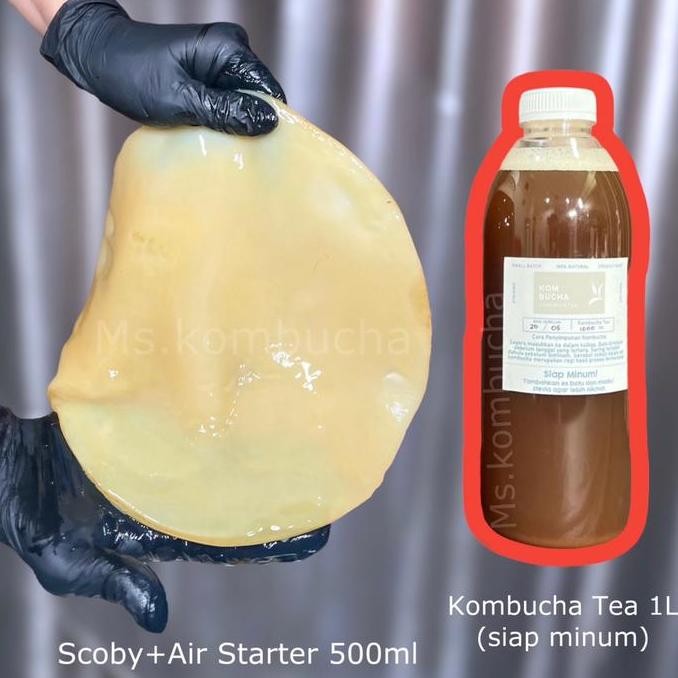 

Hot Sale!, Scoby, Air Starter 500Ml Dan Kombucha Tea 1L