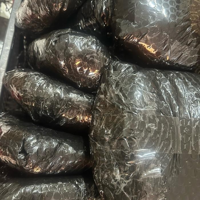 Alat Cuci Motor Ac Mobil Komplit Tekanan 160 Psi