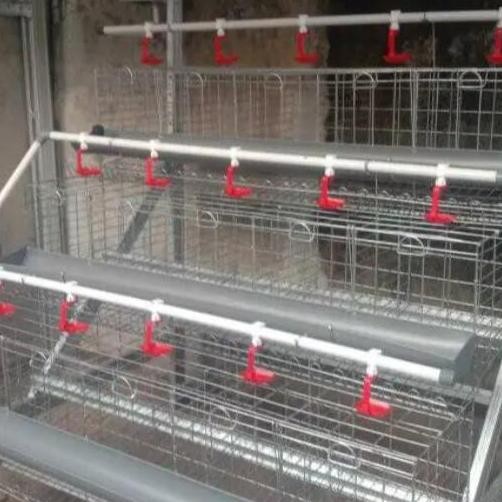 Terlaris Kandang Ayam Petelur Galvanis Skalarumahan Untuk Satu Kandang 5Pintu Isi 10Ekor Per3 Tingka