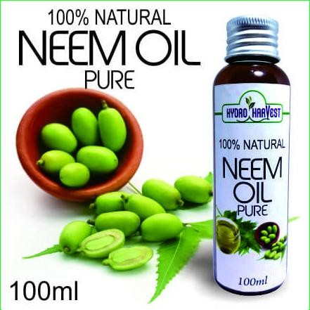 

BEBAS ONGKIR - NEEM OIL PURE 100ML MINYAK BUAH NIMBA murah