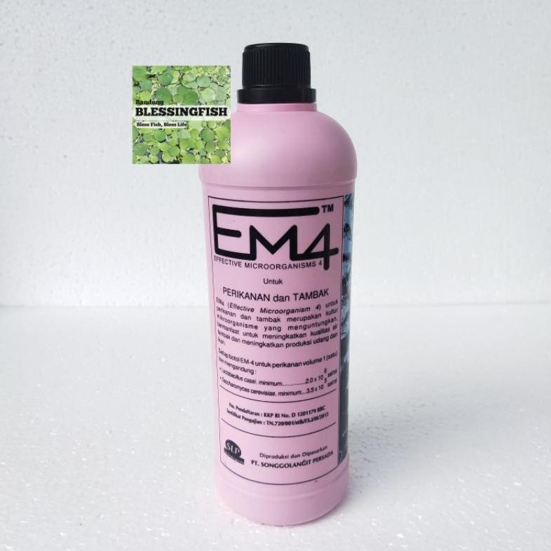 Bakteri Starter Air Kolam Pupuk Cair Kolam Pupuk Cair Tambak Em4 Perikanan DiM