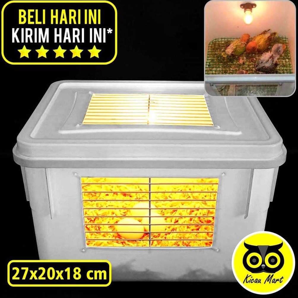 KICAU MART Box Terrarium Kotak Terarium Plus Lampu Serbuk Kayu Alas Kayu Ram Kawat Plastik Tempat Lo