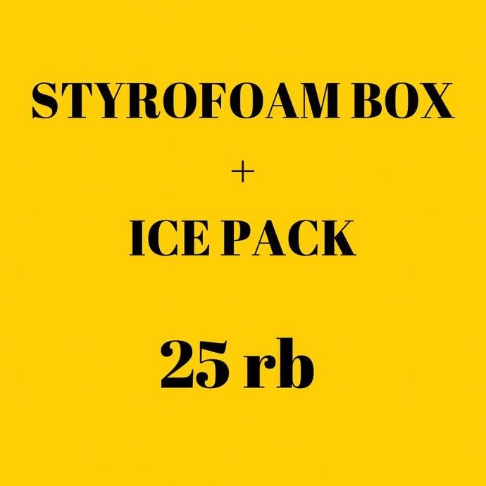 

new !!! extra packaging tambahan styrofoam+ice pack
