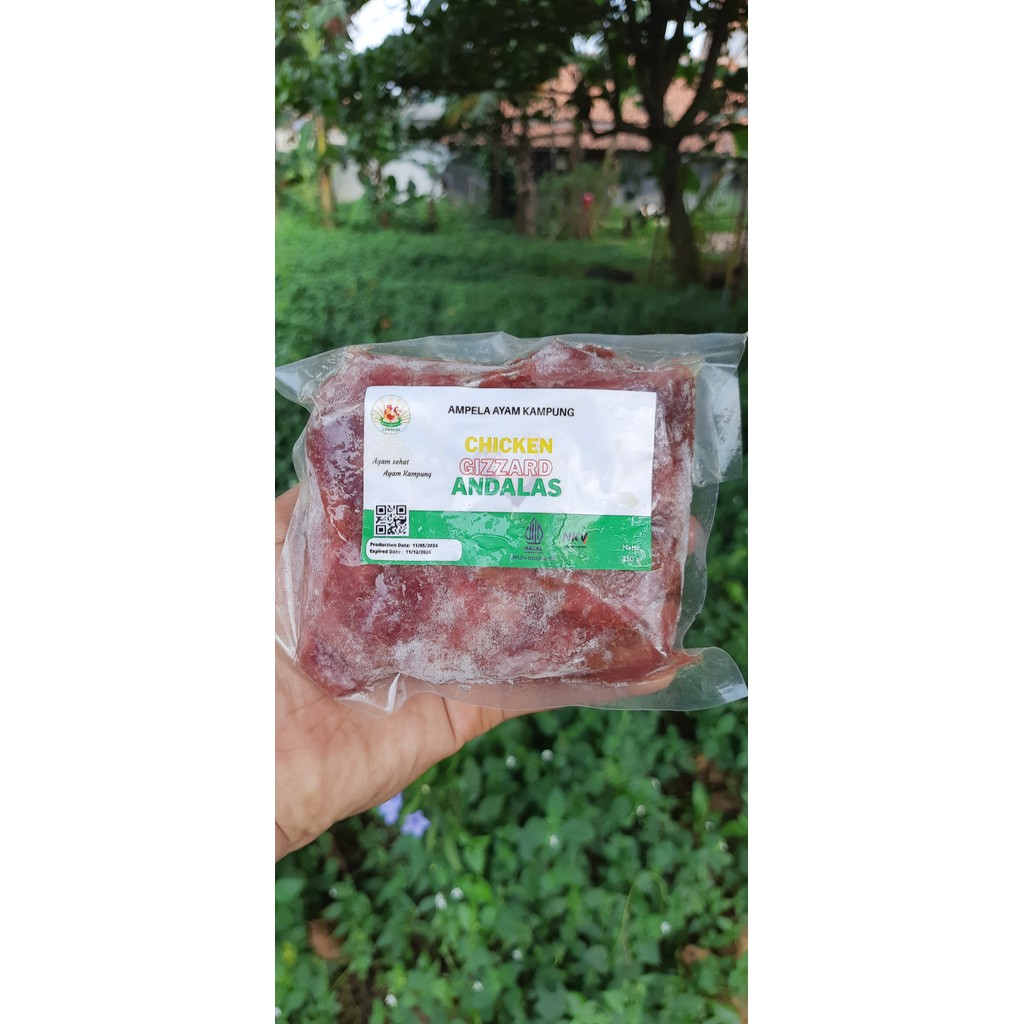 

Ampela Ayam Kampung 250 Gram
