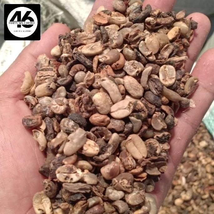 

READY GREEN BEAN ARABIKA PREMIUM PIXEL - BAHAN BAKU KOPI BUBUK GRADE PREMIUM