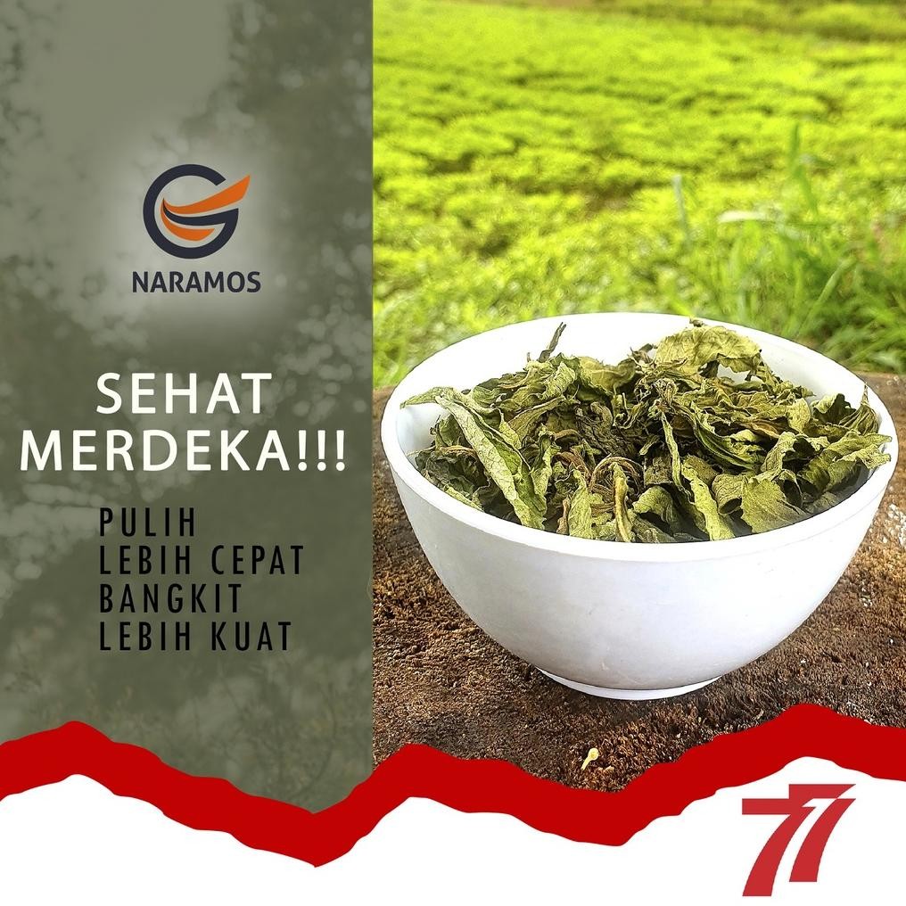

Daun Stevia Kering Alami 100gr Daun Murni Nugi