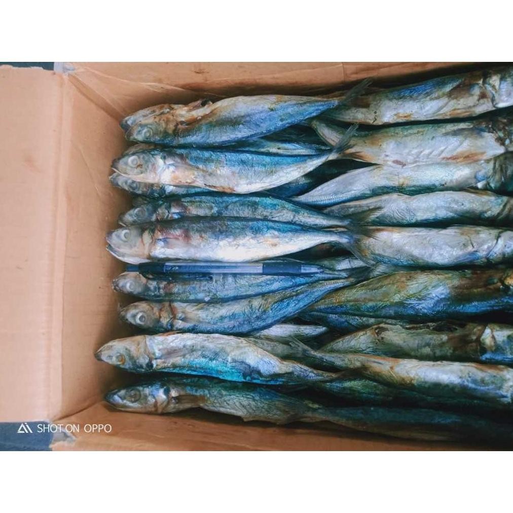 

Ikan Asin Klotok Manis Jumbo 250-1kg - Daging Ekstra Lembut