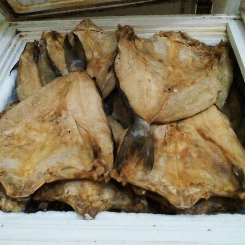 

Ikan asin jambal roti super ngeprul tanpa tulang asli Pangandaran 15 KG
