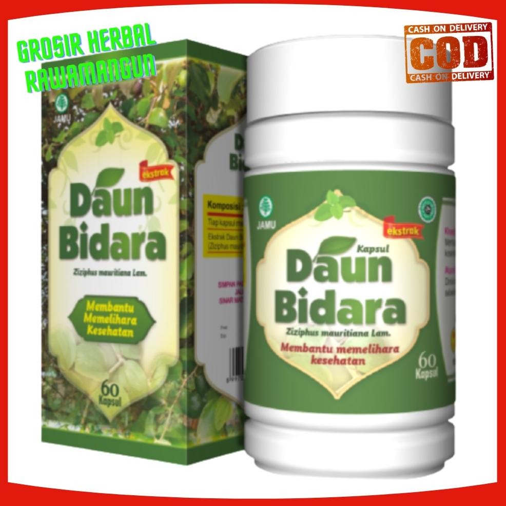 

Kapsul Bidara Al ghuroba 60 kp Nugi