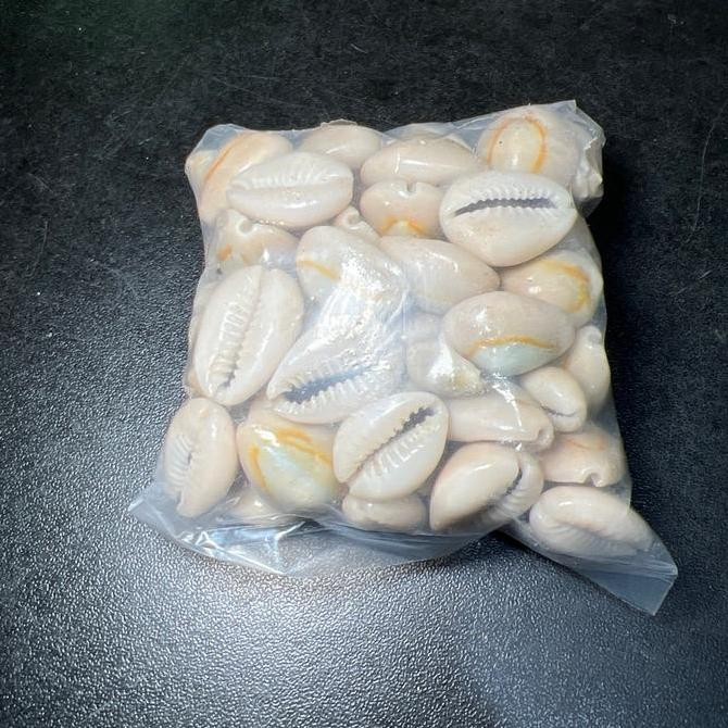 Kerang kuwuk congklak 100 gr GS