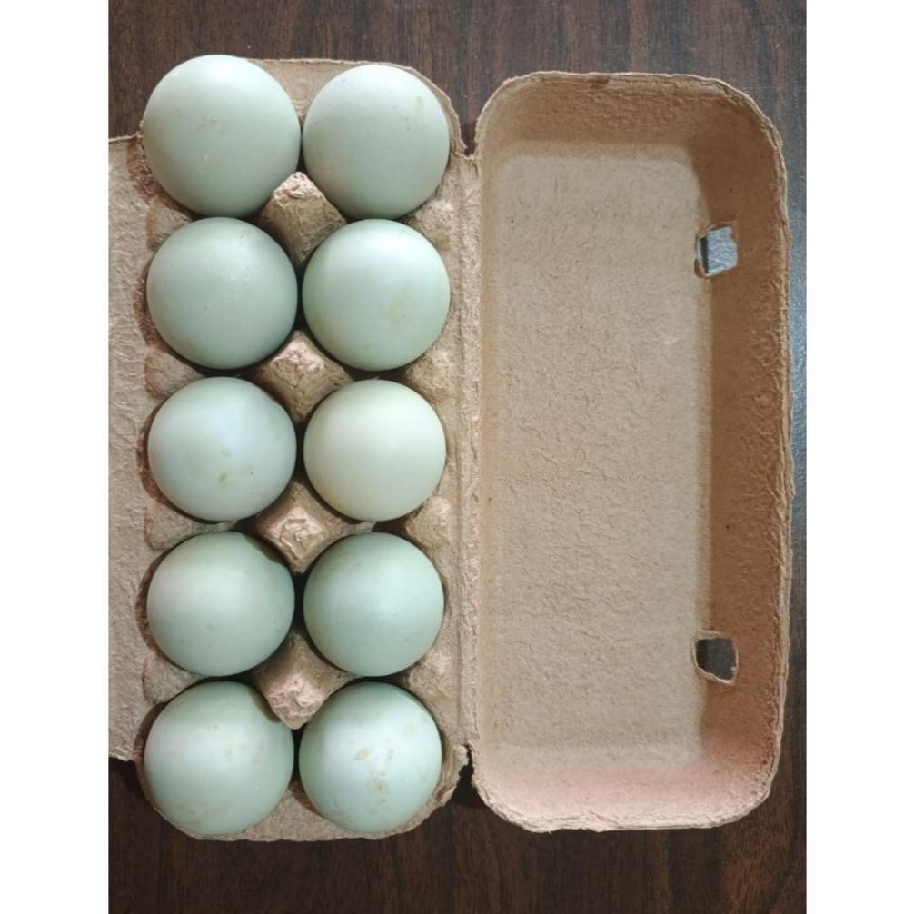 

Telur Bebek Mentah Organik isi 10 Butir Nugi