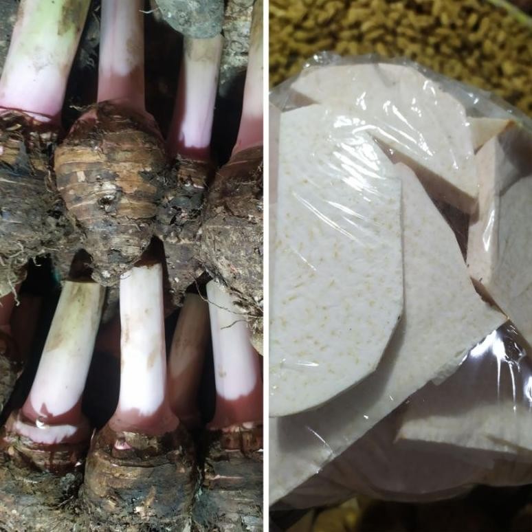 

Talas Kupas / Talas Utuh / Talas Bogor 1.Kg Nugi