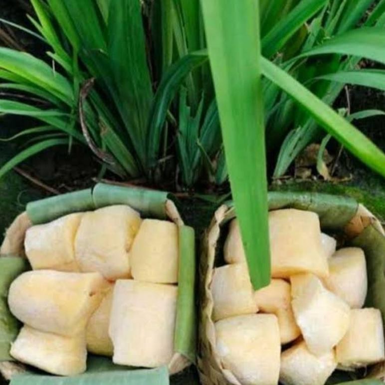 

tape singkong mentega kemasan besek 2 kg manis bikin ketagihan Nugi