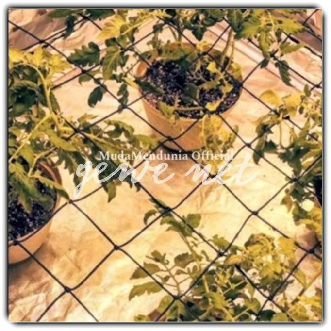 Jaring Tanaman Rambat 2Mx3M Kuat