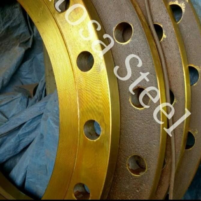 Flange Pn 25 Std 8 Inch Besi