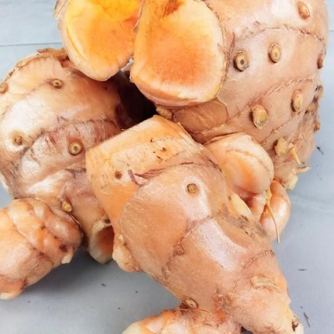 

Biang TemuLawak Segar Induk Temulawak Organik 1kg