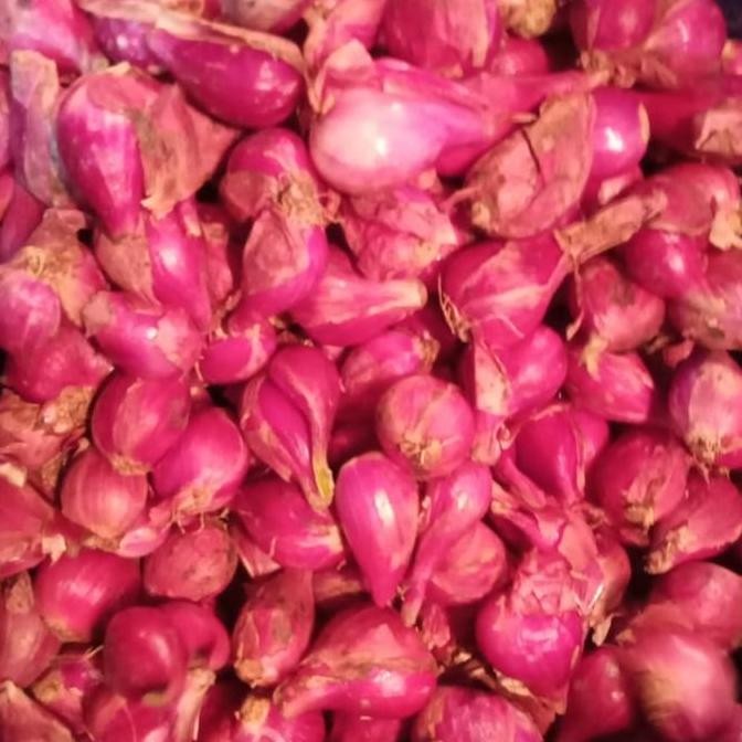 

Bawang Merah Brebes Pilihan Besar [1KG] HM
