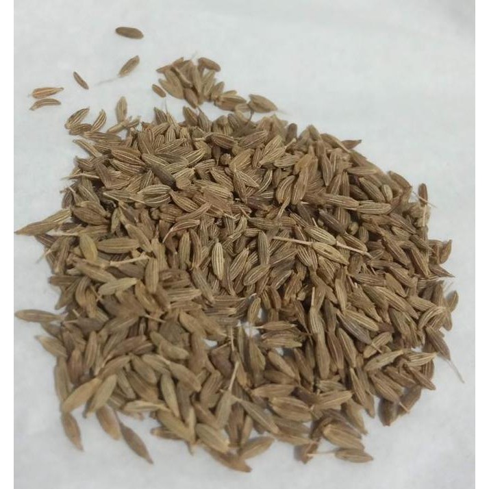 

,,,,,,,] Jintan India - Jeera - Zeera 50 gram