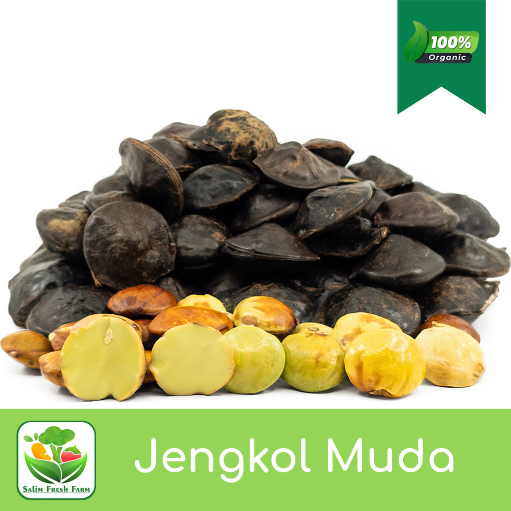 

Jengkol muda mentah 1 kg super / Jengkol muda lalapan segar / Jengkol muda mentah / Jengkol muda cangkang