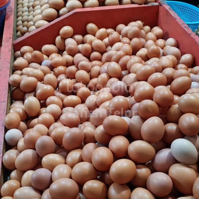 

Produk Baru!! Telur Ayam Negeri Super 1 Kg Isi 18-20 Butir Segar Harian