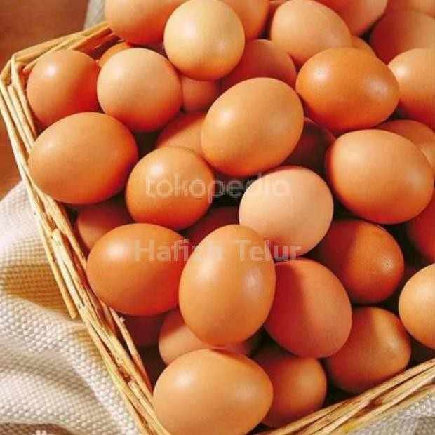 

Produk Baru!! Telur Ayam Negeri 1 Kg Isi 16 Butir Fresh Ekonomis
