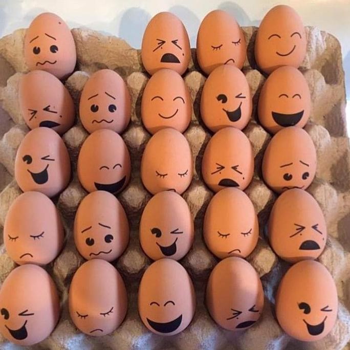 

Produk Baru!! Telur Ayam Negeri Asli 1kg - Telur Coklat Segar Lokal Fresh