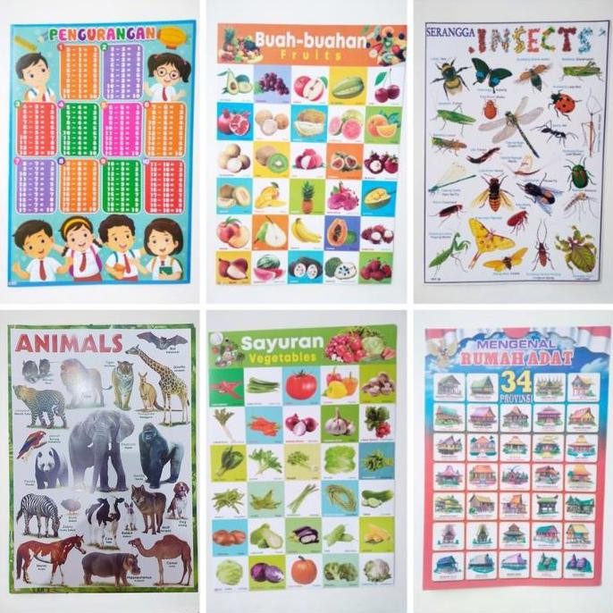 

*****] Poster Dinding Karton, Poster Edukasi