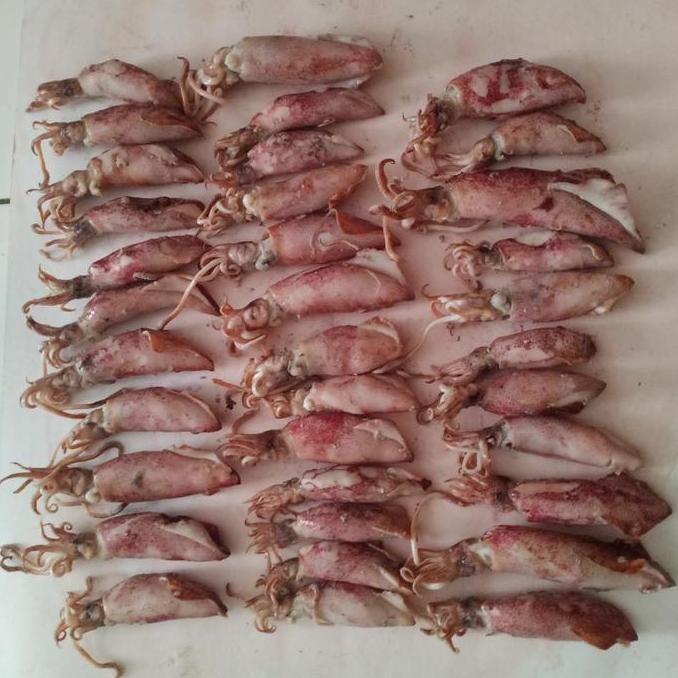 

Ikan Asin Cumi Sotong Besar Jumbo 1 Kg Fresh #Gratisongkir