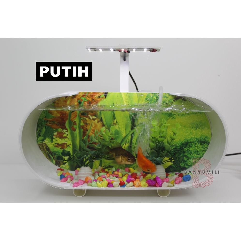 Aquarium Akrilik murah 5 dim full set + pompa aerator + batu gelembung + Lampu LED