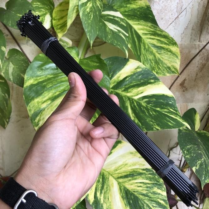 Spokes Ruji 14G X 270 Fixie Rims 4.5Cm Stainless Kualitas Terbaik Harga Termurah