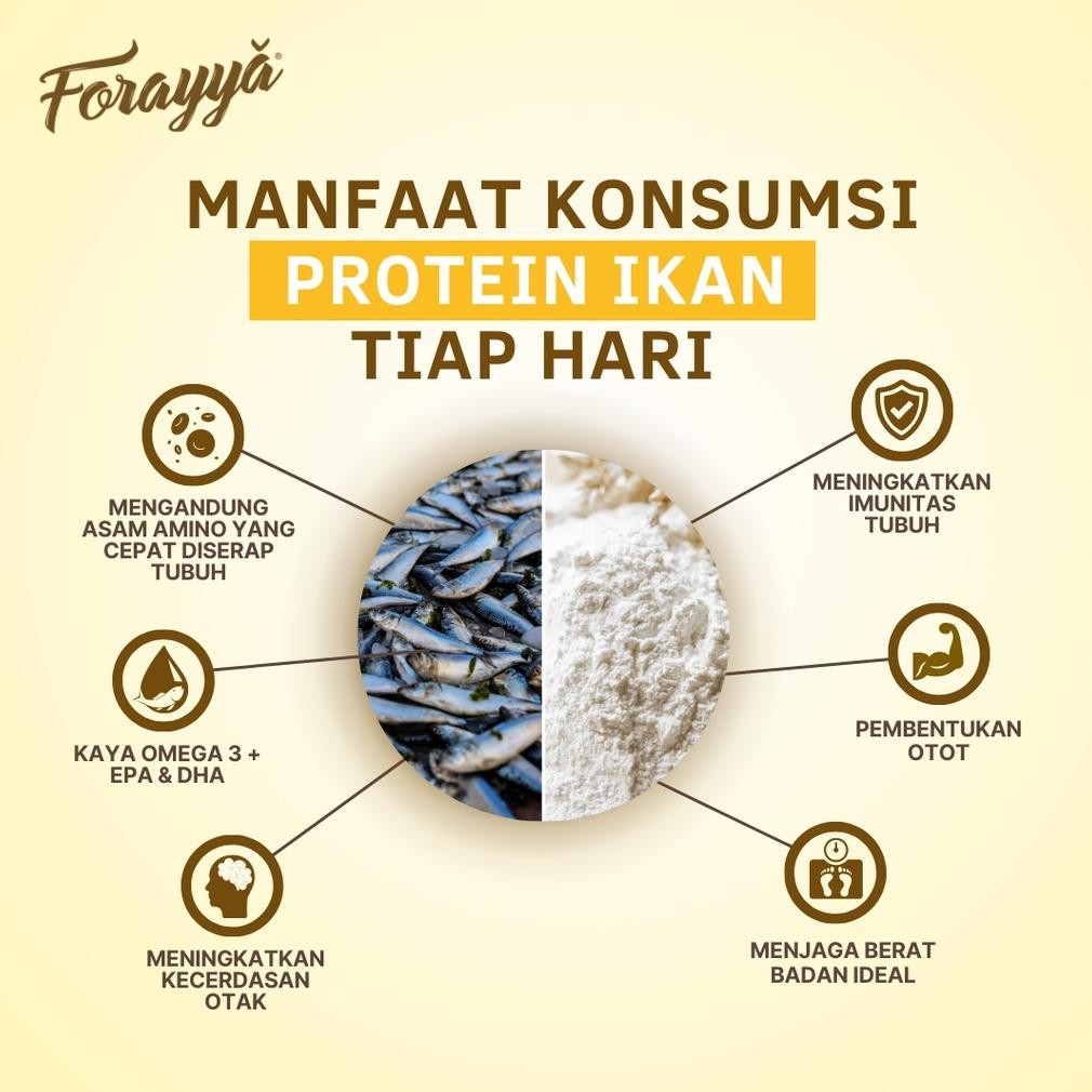 

10 PCS Protein Cookies Forayya 35g - Healthy Snack Gluten Free Tinggi Protein