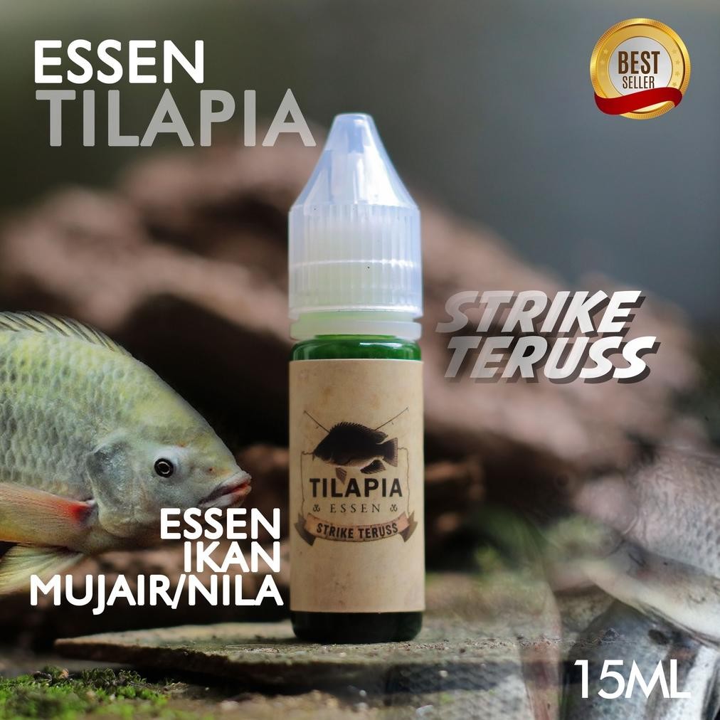 ORIGINAL PROMO TILAPIA ESSEN IKAN NILA IKAN MUJAIR MUJAER LUMUT LUKUT Nugi