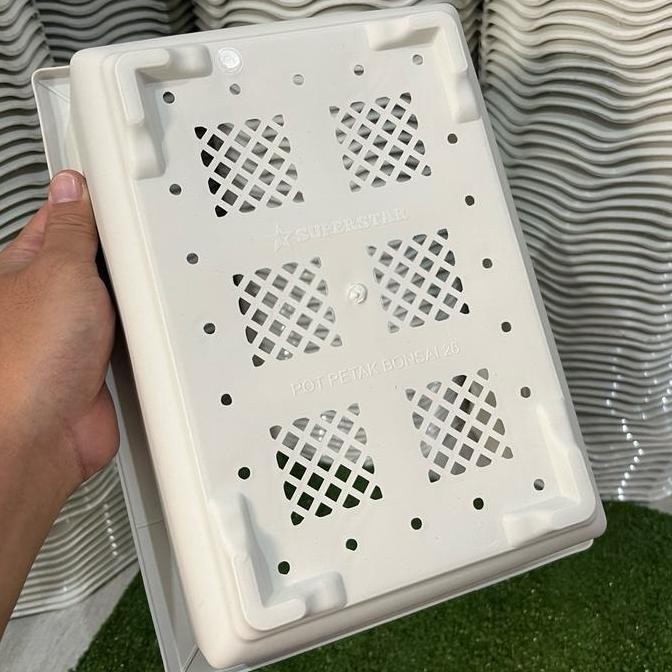 

Baru Pot Bonsai Kotak 29Cm - Paket Isi 3 & 6 Pcs Pot Tanaman Murah