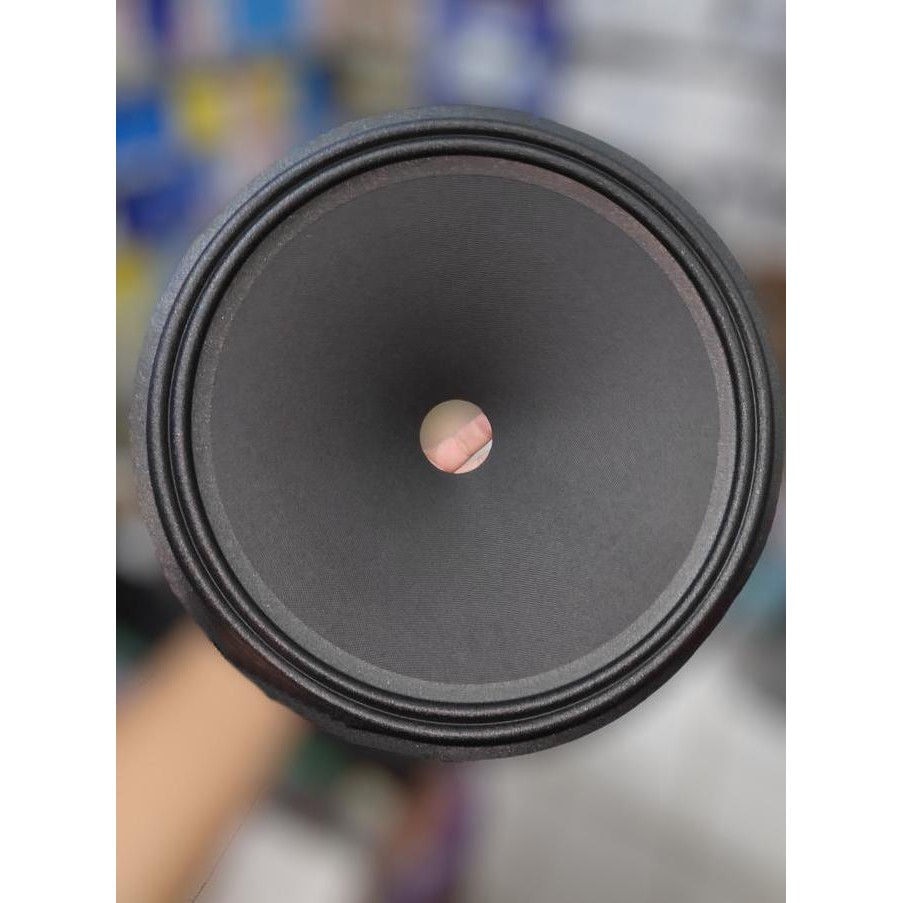 JB Daun Speaker 15 Inch PA / Fullrange None
